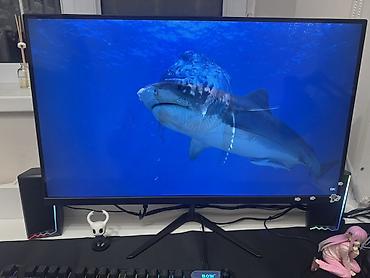 монитор 2к 27 дюймов: Монитор, Новый, OLED, 26" - 27" — 2