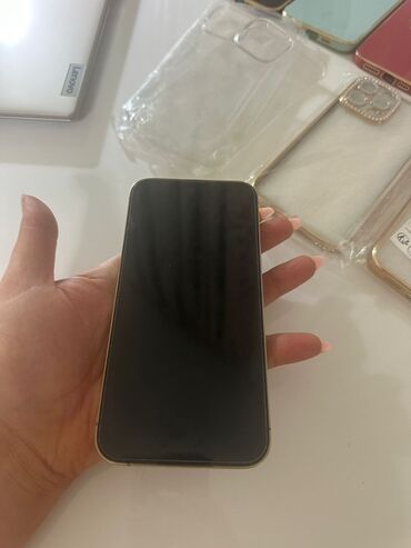 Apple iPhone: Apple iPhone iPhone 13 Pro Max, 128 GB, Zlatna, Face ID — 8