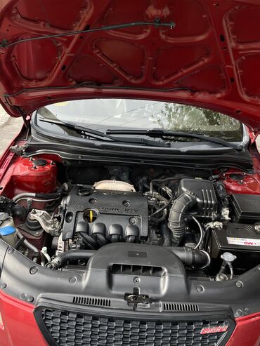 Kia: Kia Ceed: 1.4 l | 2007 il Hetçbek — 17