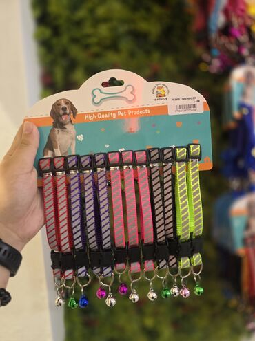 Xaltalar, qayışlar və tasmalar: Pişik və mini itlər üçün boyunbağılar. Taksilə çatdırılma xidmətimiz — 2