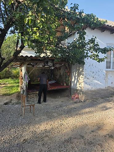 үй жер: Продаётся Большой дом с времянкой. На участке расположены несколько — 4
