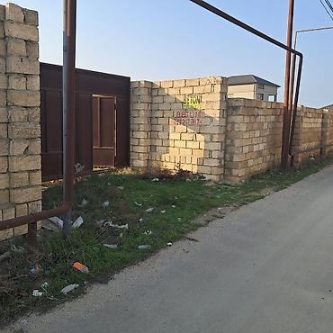sabuncuda: 12 sot, Tikinti, Kupça (Çıxarış) — 7