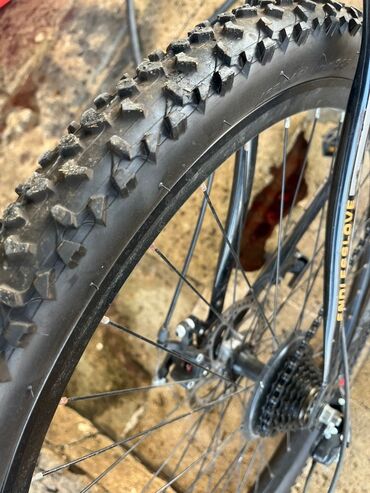 velosiped start: Dağ velosipedi 29"
