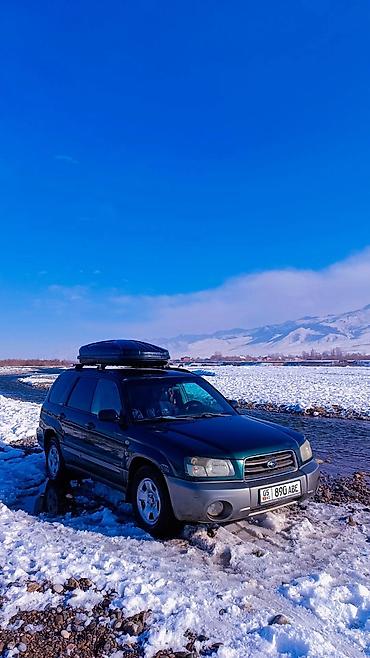 byd e9 1: Subaru Forester: 2003 г., 0.2 л, Механика, Газ, Универсал — 2