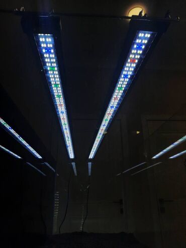 Ovçuluq və balıqçılıq: Akvarium,şkaf və digər avadanlıqlar satılır.Bitki üçün qrunt Propant — 12