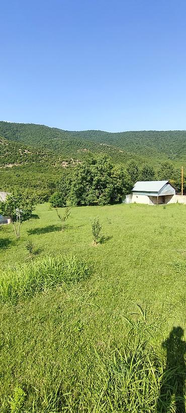 qala emlak: 30 sot, Kənd təsərrüfatı, Barter mümkündür, Kupça (Çıxarış), Bələdiyyə — 6