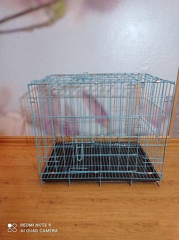 Зоотовары: Есть одноэтажные, двухэтажные, трехэтажные, с трубами и туннелями — 12