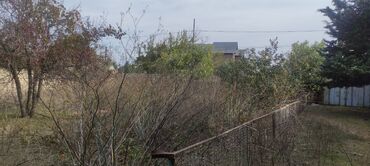 Bağ evlərinin satışı: Bağ sahəsi və köhnə tikili - Geniş, yaşıllıqla əhatələnmiş bağ — 10