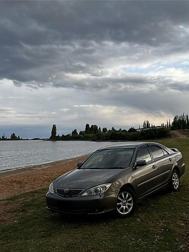 mark2 100: Toyota Camry: 2004 г., 2.4 л, Автомат, Газ, Седан — 4
