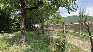 Torpaq sahələrinin satışı: 12 sot, Tikinti, Mülkiyyətçi, Kupça (Çıxarış) — 18