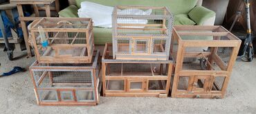 Akvarium aksessuar və ləvazimatları: İşlənmiş, yaxşı vəziyətədir, hamı bir yerdə satılır