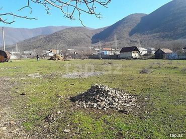 torpaq gəncə: 21 sot, Tikinti, Mülkiyyətçi, Kupça (Çıxarış) — 5