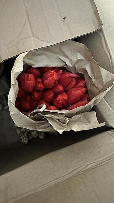 Букеты из живых цветов: Тюльпаны, срезка в крафт-упаковке. - Ассортимент оттенков — 7