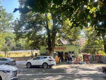 Kirayə torpaq sahələri: 13 sot İşıq — 31