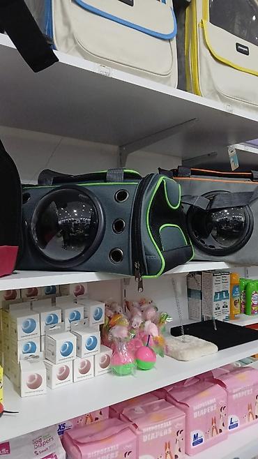 Pişiklər: Erkək, Pulsuz çatdırılma — 5