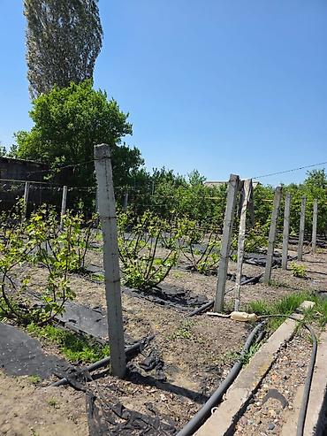 Продажа коттеджей и домов: 📍с.Ленинское 🔘4-комнатная 🔘2 этажа 🔘165м² Продаётся двухэтажный — 13