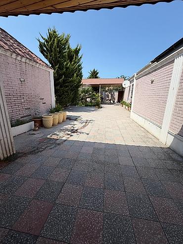 Salam Zabrat demir yolu 307 nomreli mektebin 200 metr mesafesinde at lalafo.az — 10 Salam Zabrat demir yolu 307 nomreli mektebin 200 metr mesafesinde — 10