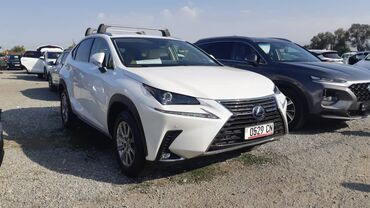 лексус 350 в бишкеке цена: Lexus NX: 2019 г., 2.5 л, Типтроник, Гибрид, Кроссовер