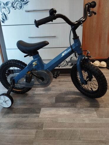 детская сидушка на велосипед: Коляска, цвет - Голубой, Б/у