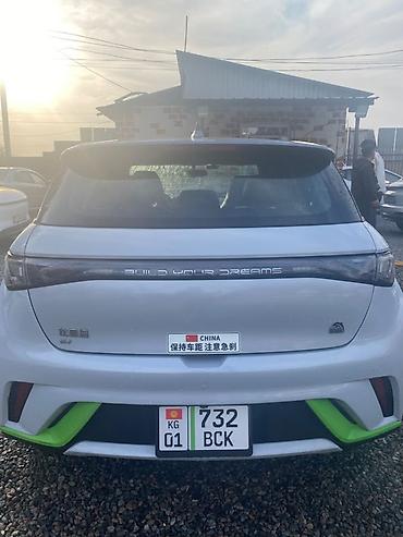 электро минивэн китай: BYD Dolphin: 2022 г., Автомат, Электромобиль, Хэтчбэк — 3