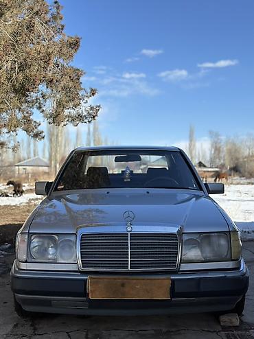 Mercedes-Benz: Mercedes-Benz W124: 1991 г., 2.6 л, Механика, Бензин, Седан — 1