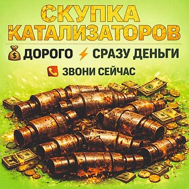 Скупка автомобильных катализаторов - Принимаем катализаторы любых