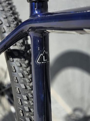 кам: Горный велосипед, Specialized, Рама L (172 - 185 см), Карбон, Б/у — 8