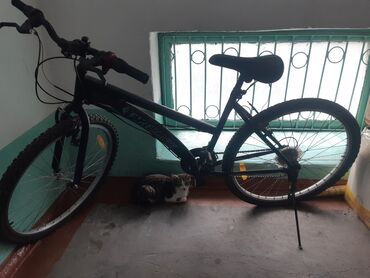 велоколяска бу: Велосипед в хорошем сост из вложений только заклеить покрышку клей