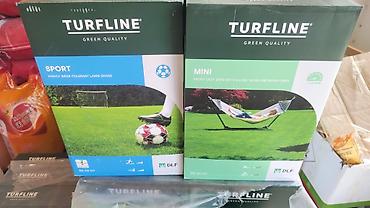 fire maple: Семена газонной травы TURFLINE (DLF) Варианты: - Sport — смесь для — 1