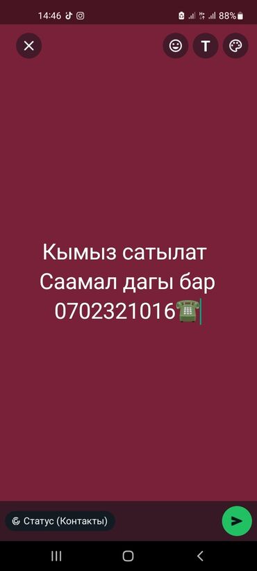 плавленый сыр бишкек цена: Кымыз сатылат