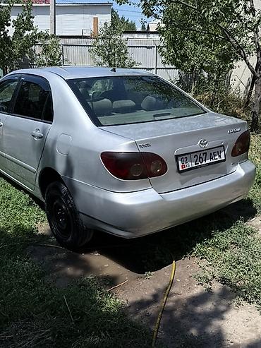 тайлта карола: Toyota Corolla: 2005 г., 1.8 л, Автомат, Бензин, Седан — 4
