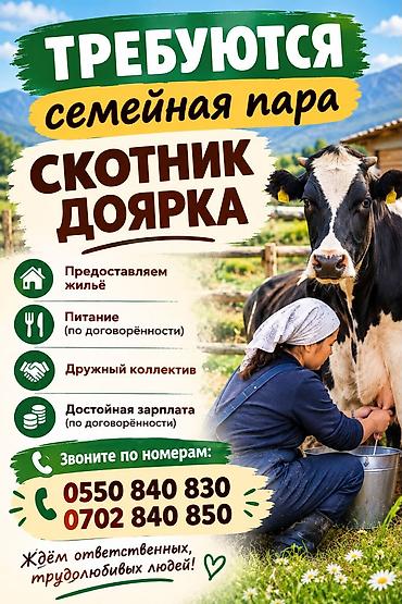 работа швеи бишкек: Талап кылынат Малчы, Төлөм: Жума сайын — 1