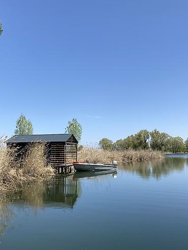 Продажа коттеджей и домов: Продается ферма в Джети-Огузском районе, Иссык-Кульская область — 26