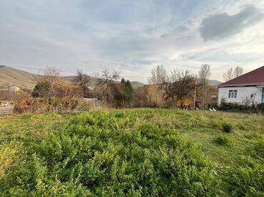 Torpaq sahələrinin satışı: 20 sot, Kupça (Çıxarış) — 6