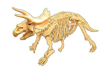dune sandale: Buki Dino iskopina Triceratops – edukativni set za male paleontologe — 3