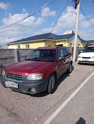 коробка на форестер: Subaru Forester: 2004 г., 2.5 л, Автомат, Бензин, Универсал — 6