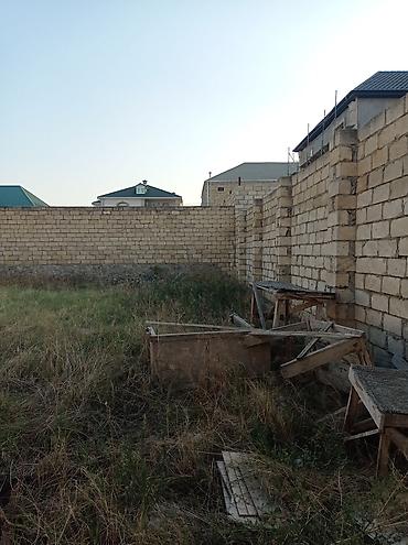 4 sot, Tikinti, Mülkiyyətçi, Kupça (Çıxarış)