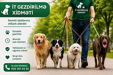 pameran it: Egər itinizi gezdirmek lazımdır ve sizin vaxtınız yoxdursa Bakı — 1