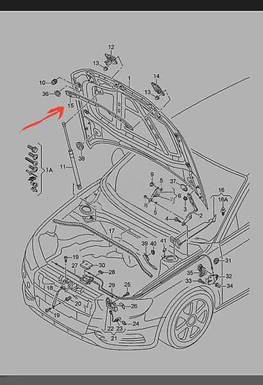car bluetooth adapter: ŠTITNIK HAUBE LAJSNA ZA AUDI A3 | Audi a3 štitnik haube audi 8v0 — 3
