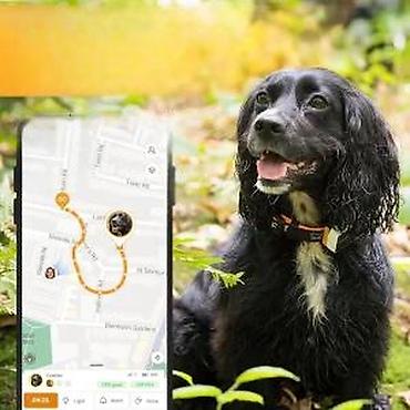 Oprema za kućne ljubimce: Pawfit 3 GPS tracker za pse - Praćenje lokacije u realnom vremenu — 13