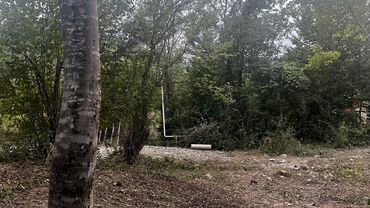 Torpaq sahələrinin satışı: 10 sot, Tikinti, Kupça (Çıxarış) — 14