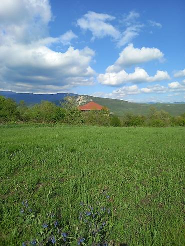 goy golde ucuz satılan evler: 277 sot, Kənd təsərrüfatı, Maklerlər narahat etməsin, Kupça (Çıxarış) — 4