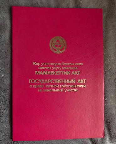 чопон ата: 8 соток, Красная книга — 2
