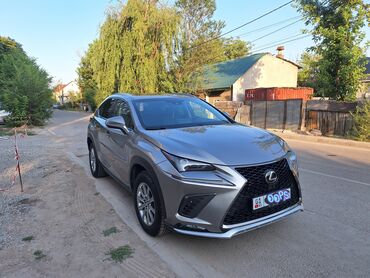 runx alex: Lexus NX: 2019 г., 2 л, Автомат, Бензин, Кроссовер