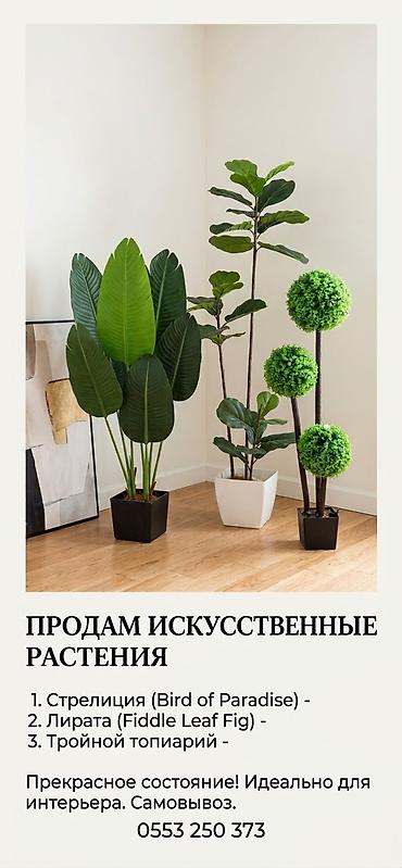 искусственные пальмы: Искусственные напольные растения для интерьера — набор из 3 позиций: - — 2