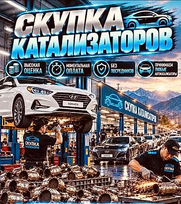 на разборки: Скупка автокатализаторов - Принимаем любые автокатализаторы — 1