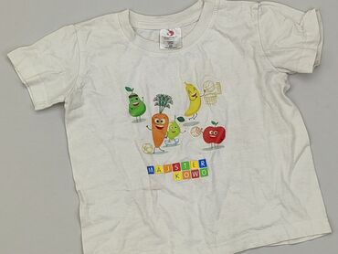 szara koszulka: T-shirt, 5-6 years, 110-116 cm, condition - Good