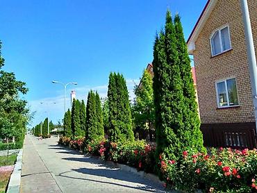 Продажа коттеджей и домов: СРОЧНО ПРОДАЕТСЯ КОТТЕДЖ!!! в ЦО «Кейсар» в г. Чолпон-Ата. Центр — 10