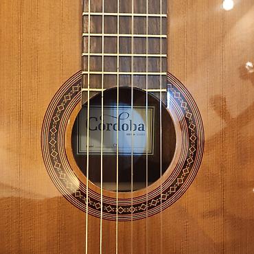 Gitaralar: Klassik gitara Cordoba C5 Üst: Bərk sidr ağacı Qol: Gül ağacı — 2
