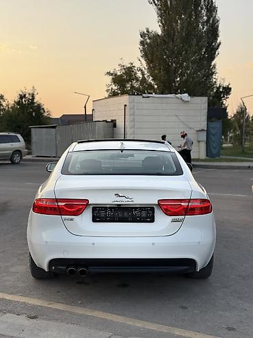 чехлы бу: Jaguar XE: 2017 г., 2 л, Автомат, Дизель, Седан — 3